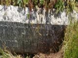 image of grave number 662801